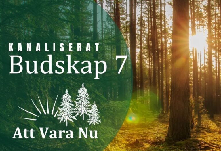 Kanaliserat Budskap 7