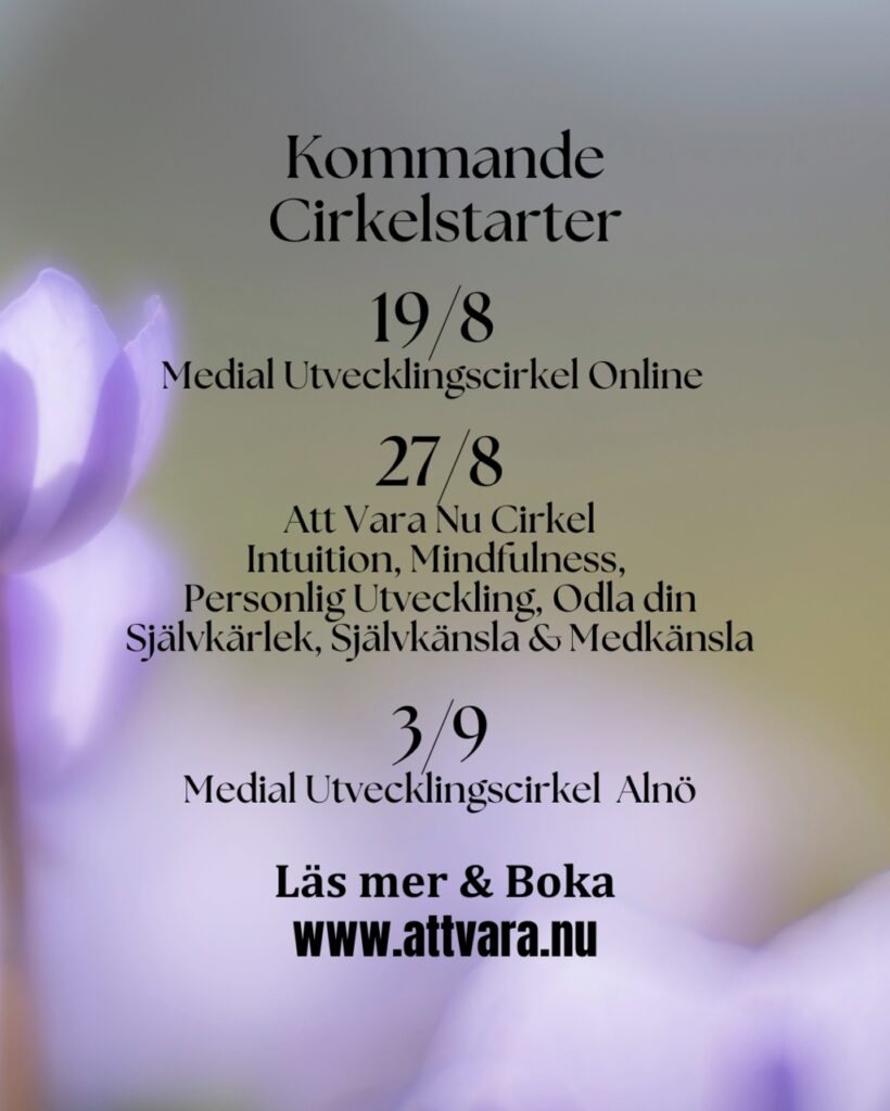 kommande cirkelstarter