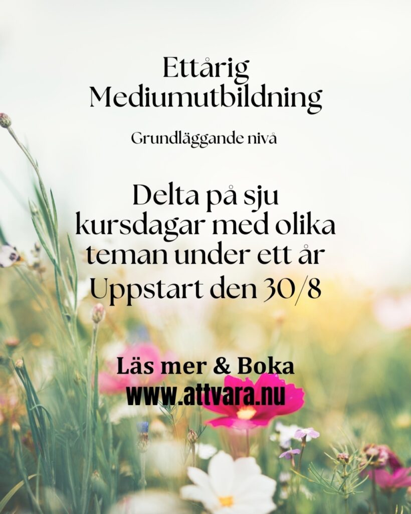mediumutbildning